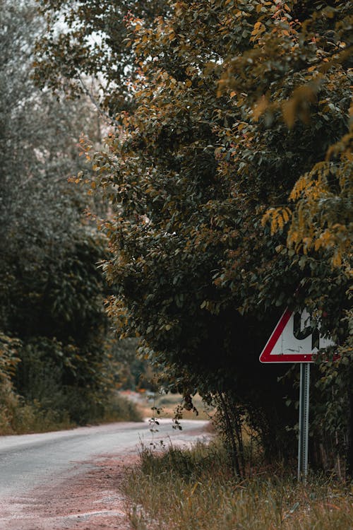 Бесплатное стоковое фото с вертикальный выстрел, деревья, дорожный указатель
