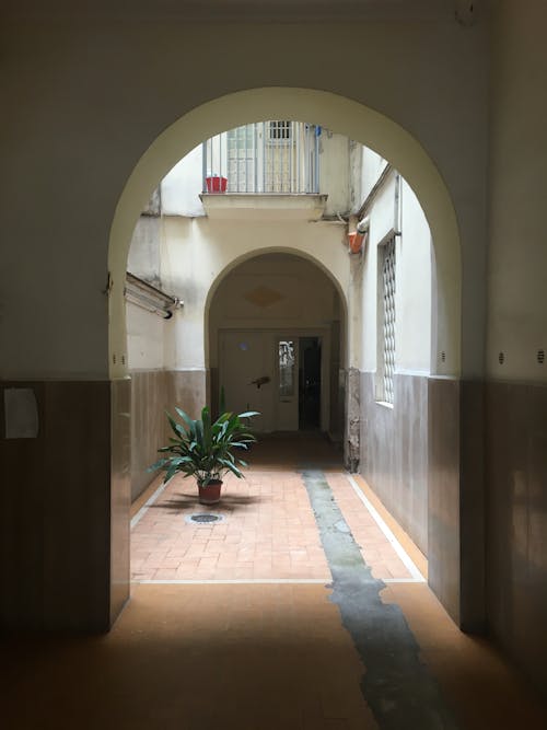 คลังภาพถ่ายฟรี ของ กำแพง, ซุ้มประตู, ทางเดินในอาคาร