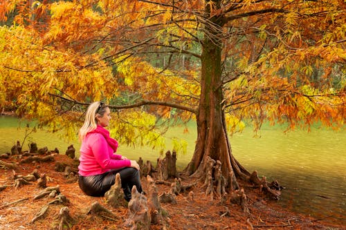 Foto stok gratis danau, duduk, hiburan