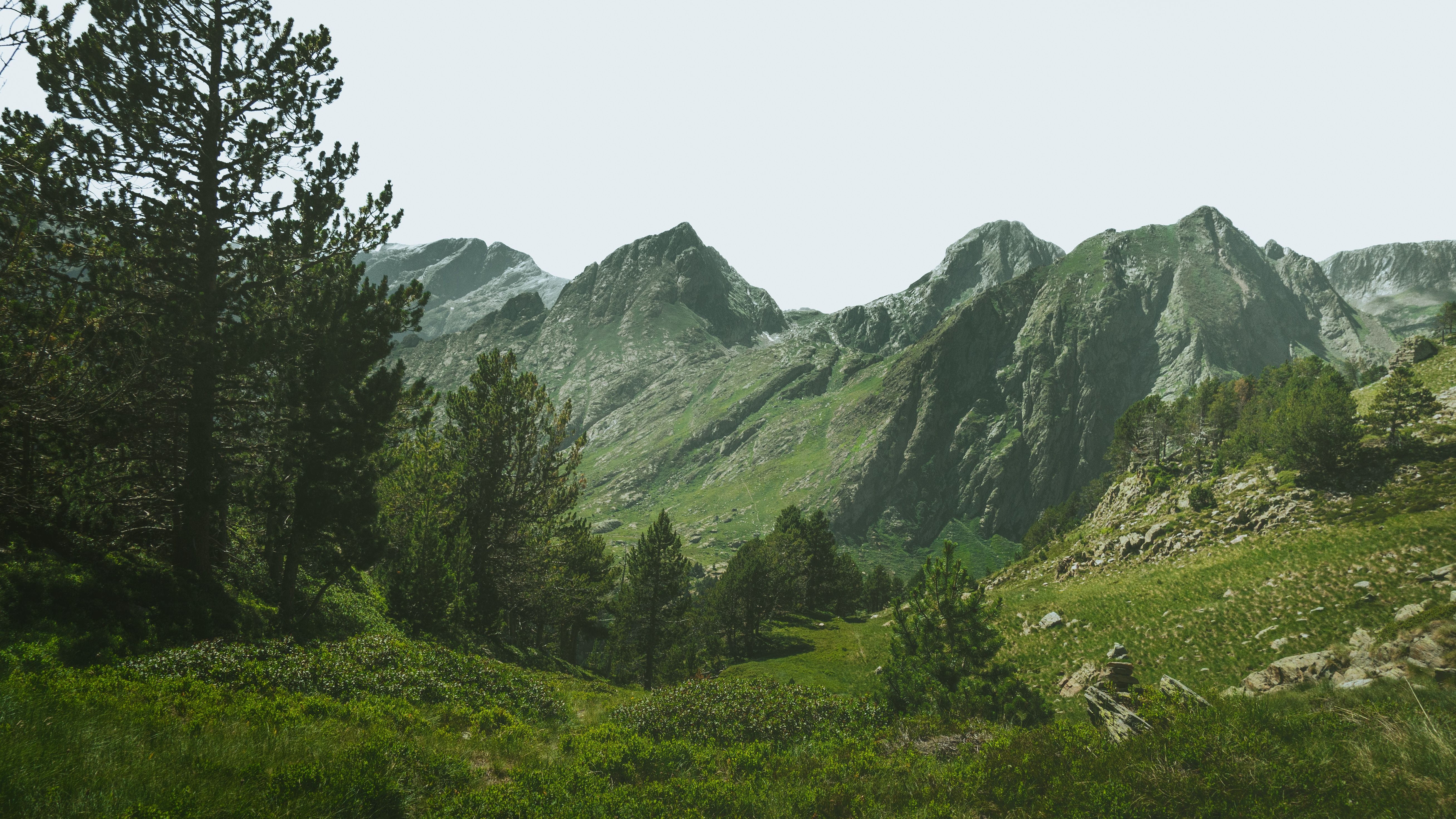 Naturlandschaft mit Bergen
