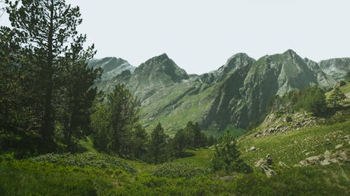 Darmowe zdjęcie z galerii z dolina, drzewa, góry