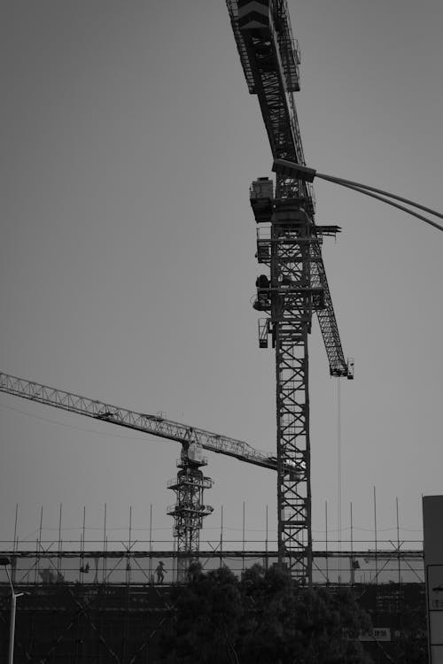 Black and White Photo of a Crane 