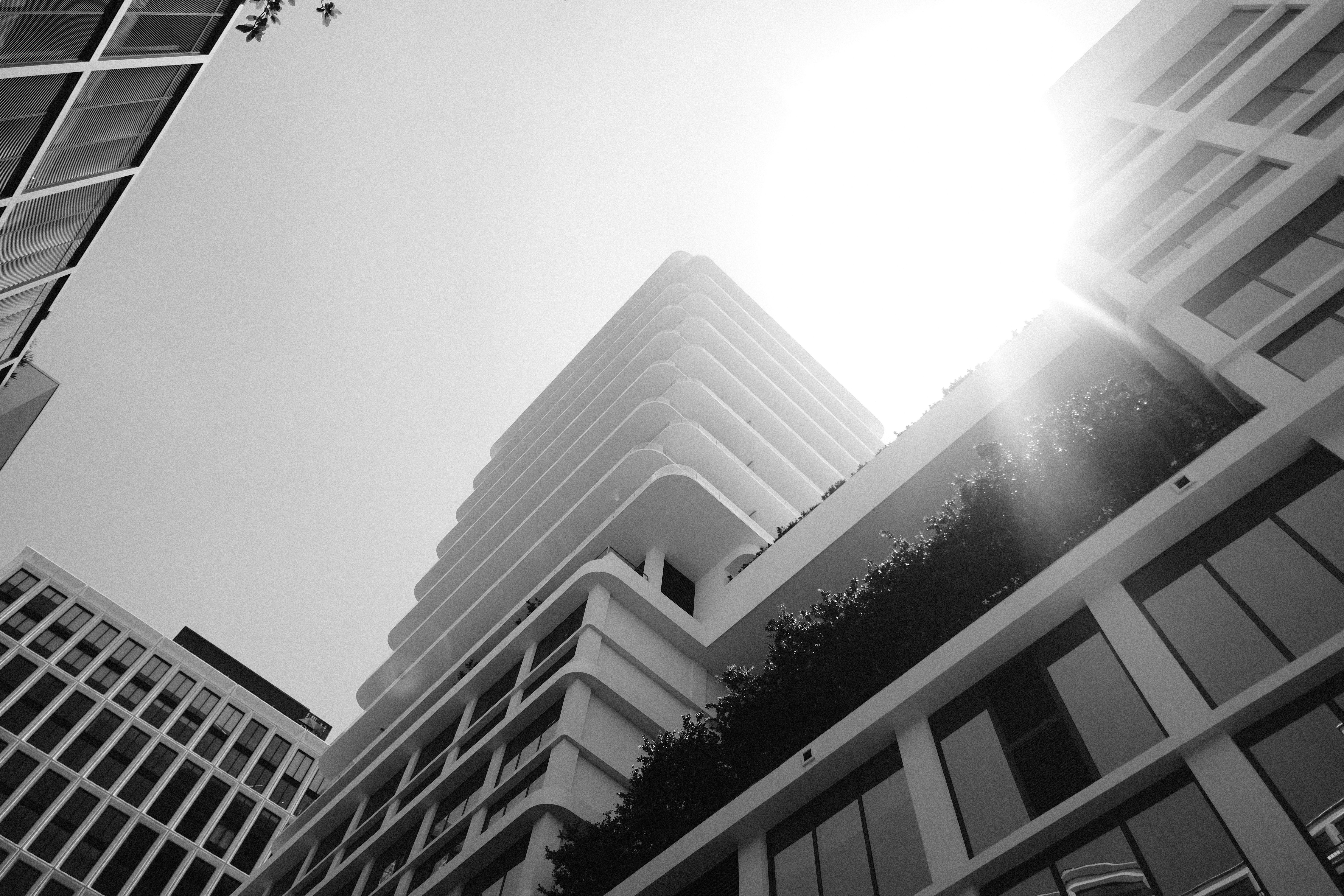Black and white photo of tall buildings with sun shining · Free Stock Photo