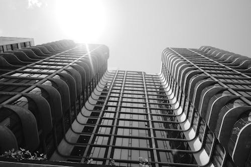 Sunlight over Modern Building in Black and White