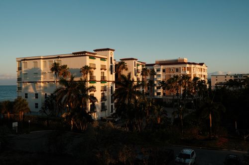 Free Sunlit residential buildings with palm trees in St. Petersburg, FL. Stock Photo