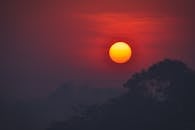 迷人的日落中，阳光充满活力地洒在树木的剪影上