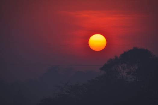 迷人的日落中，阳光充满活力地洒在树木的剪影上