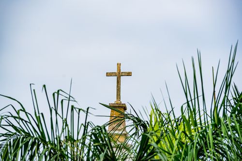 Free A Christian cross monument stands out against a clear sky surrounded by lush green leaves. Stock Photo