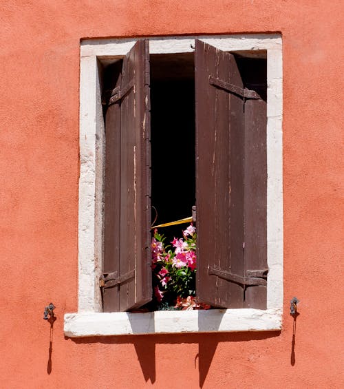 Potted Flower in an Open Window Shutters 