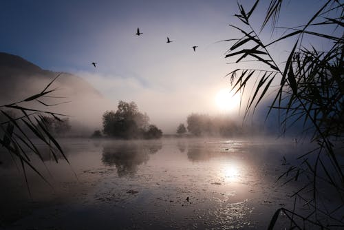 Free Scenic Landscape with a Lake at Sunrise Stock Photo