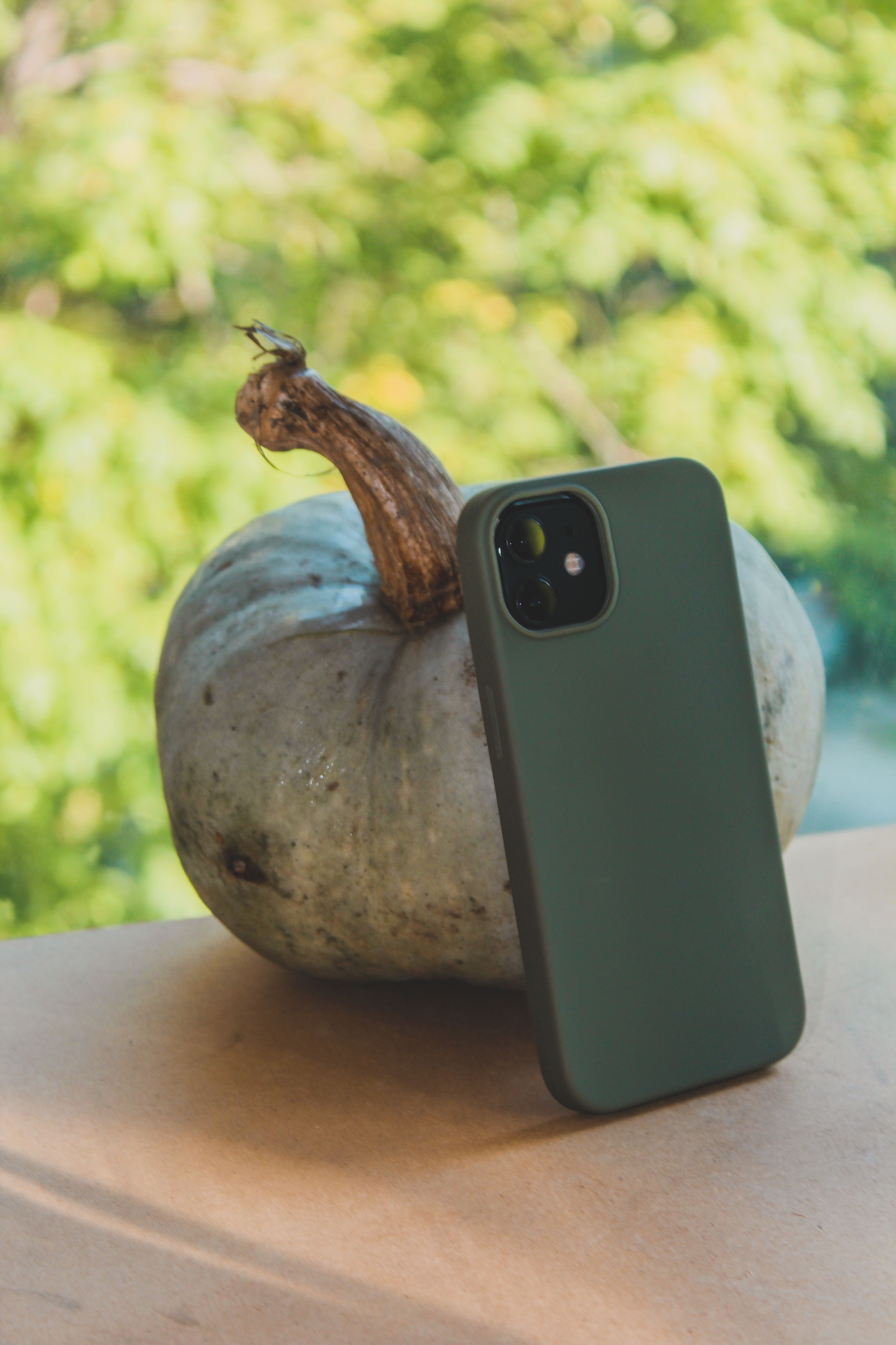 Green smartphone leaning on a pumpkin outdoors in natural sunlight.