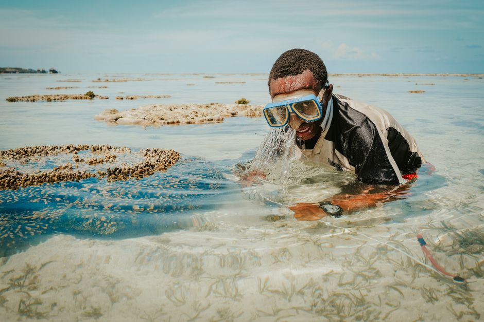 Plongée avec tuba à Mnemba Atoll
