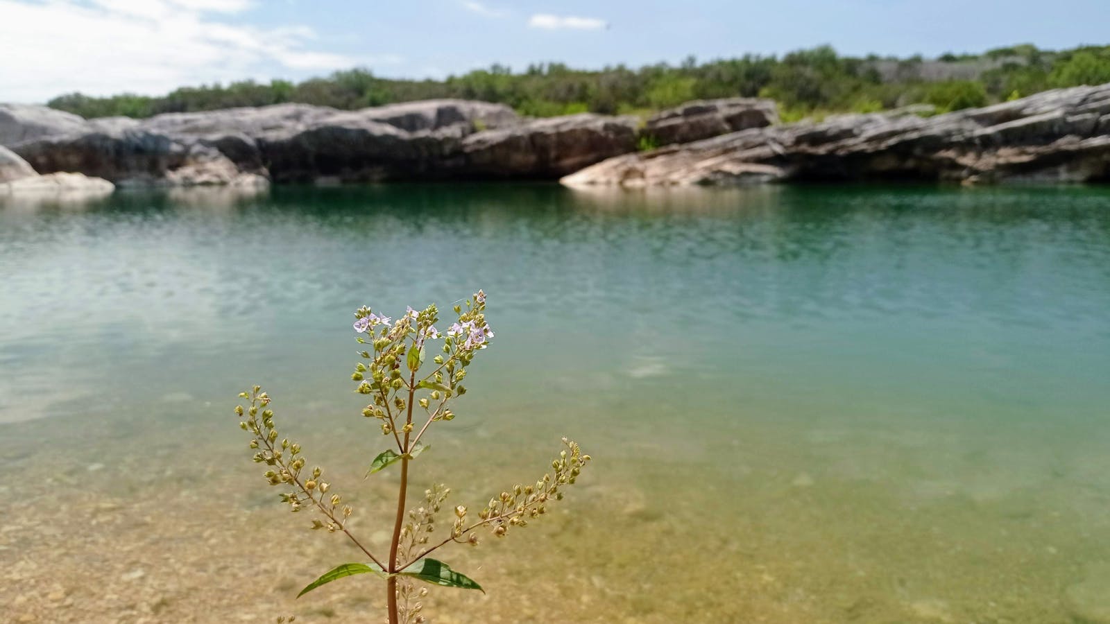 Community members walking near a university campus in Pennsylvania