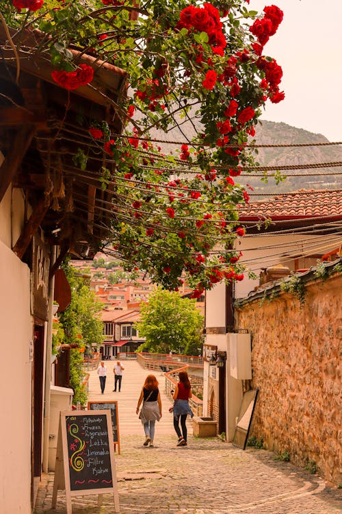 Narrow Street in Town