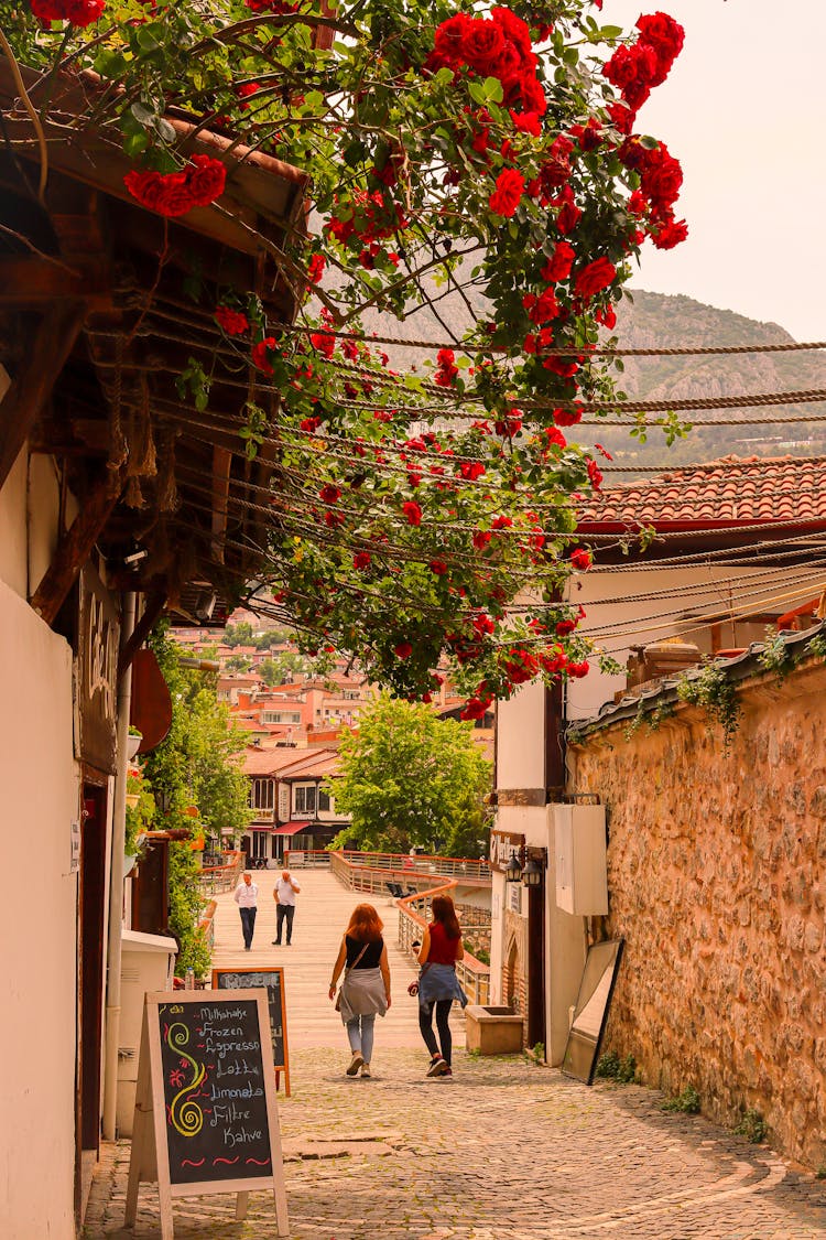 Narrow Street In Town