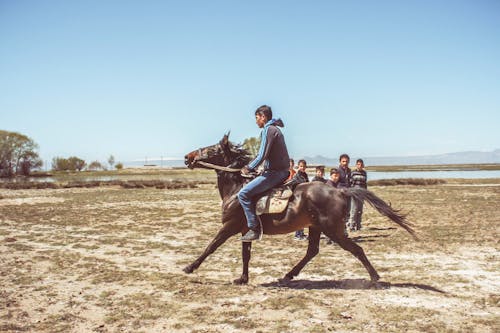 Kostenloses Stock Foto zu action, auf dem landweg, außerorts