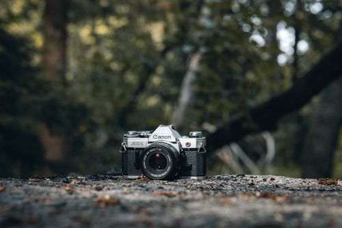 Free Close-up of a vintage camera positioned on a forest floor with a blurred natural background. Stock Photo