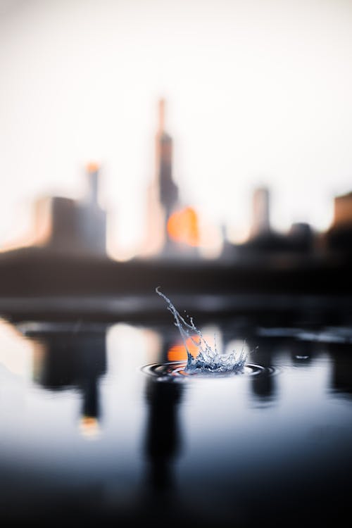 Close-Up Photo of Water Drop