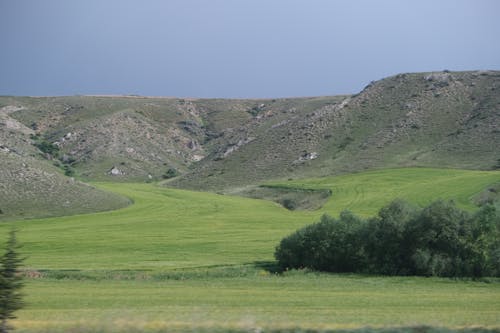 Rural Landscape with Green Fields between Hills