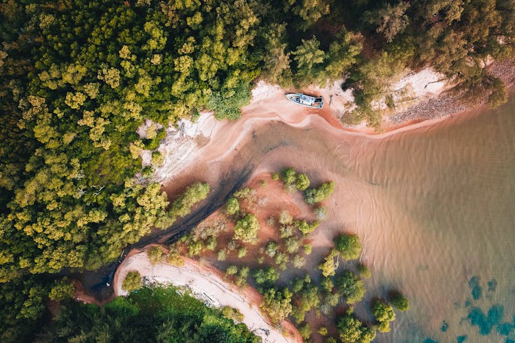 Boat On Beach On Shore With Forest