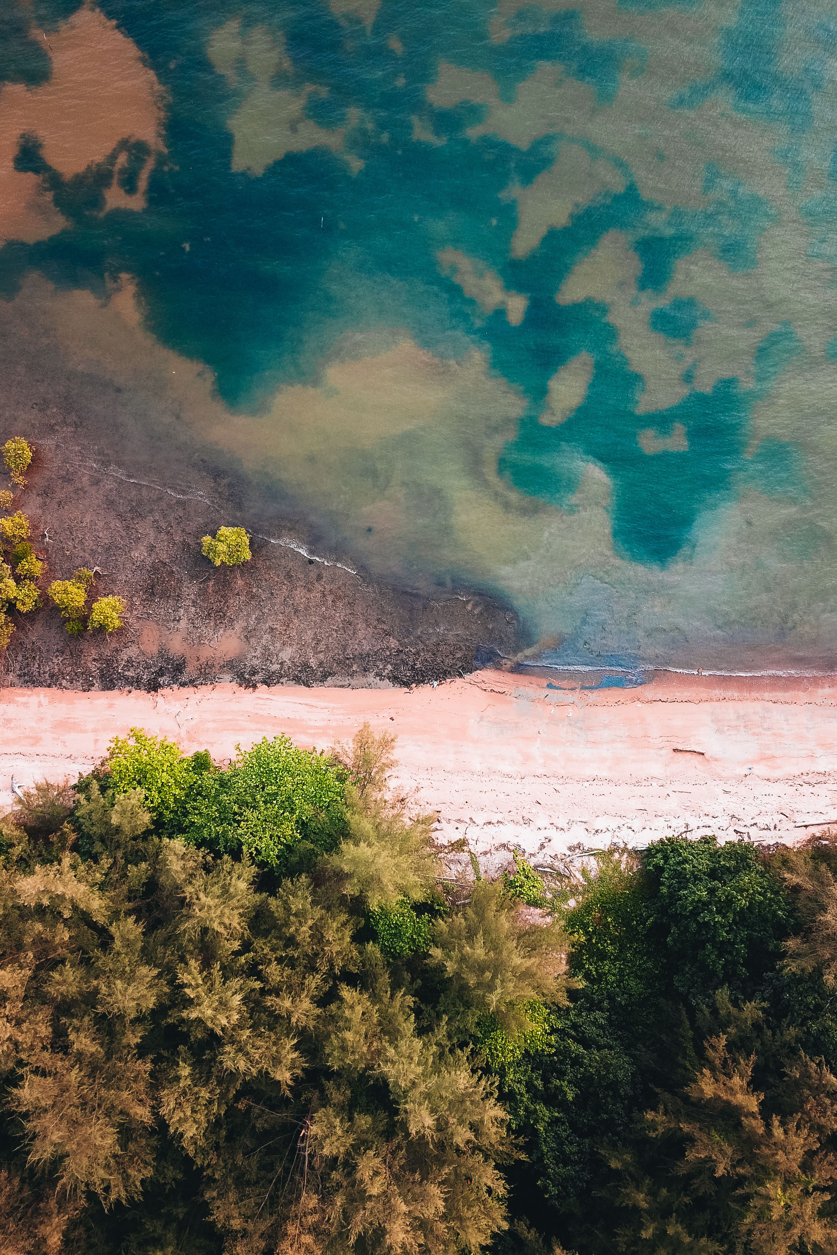 Top View of the Beach, Trees and Water · Free Stock Photo