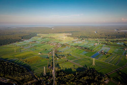 Aerial View of Cropland and Seascape in Distance 