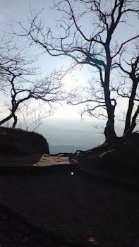Captivating sunset through bare trees overlooking Kislovodsk landscape.