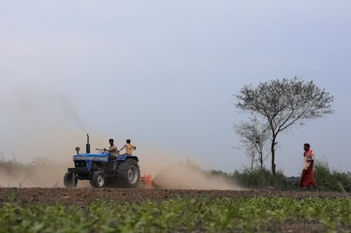 Foto stok gratis agrikultura, bidang, India
