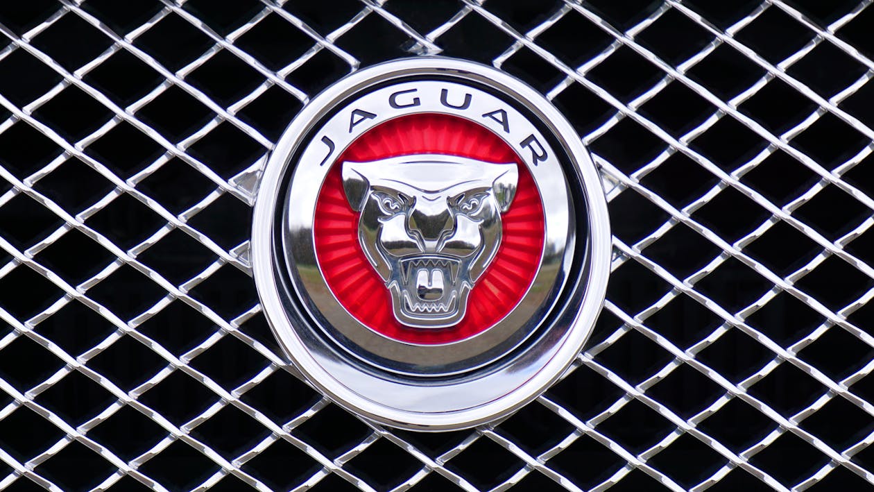 Free Jaguar Emblem Stock Photo