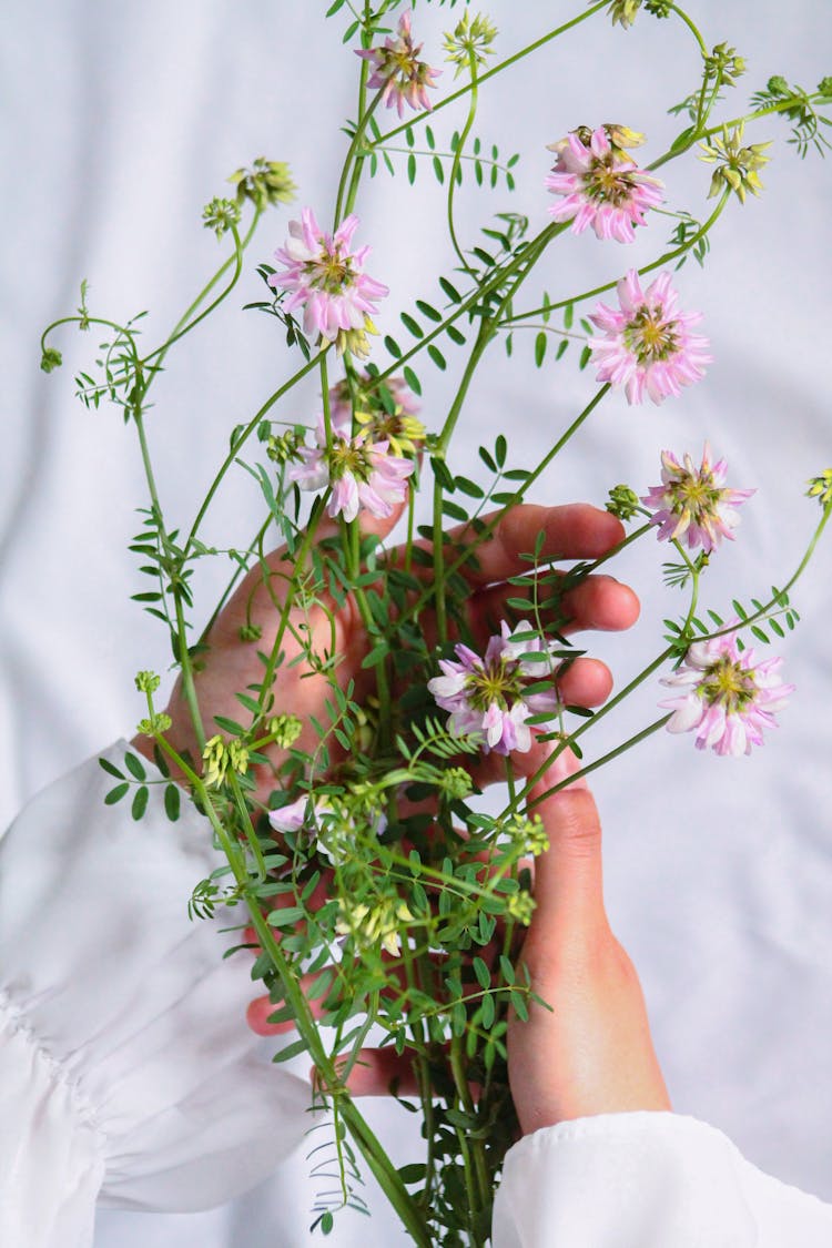 Hands Holding Flowers