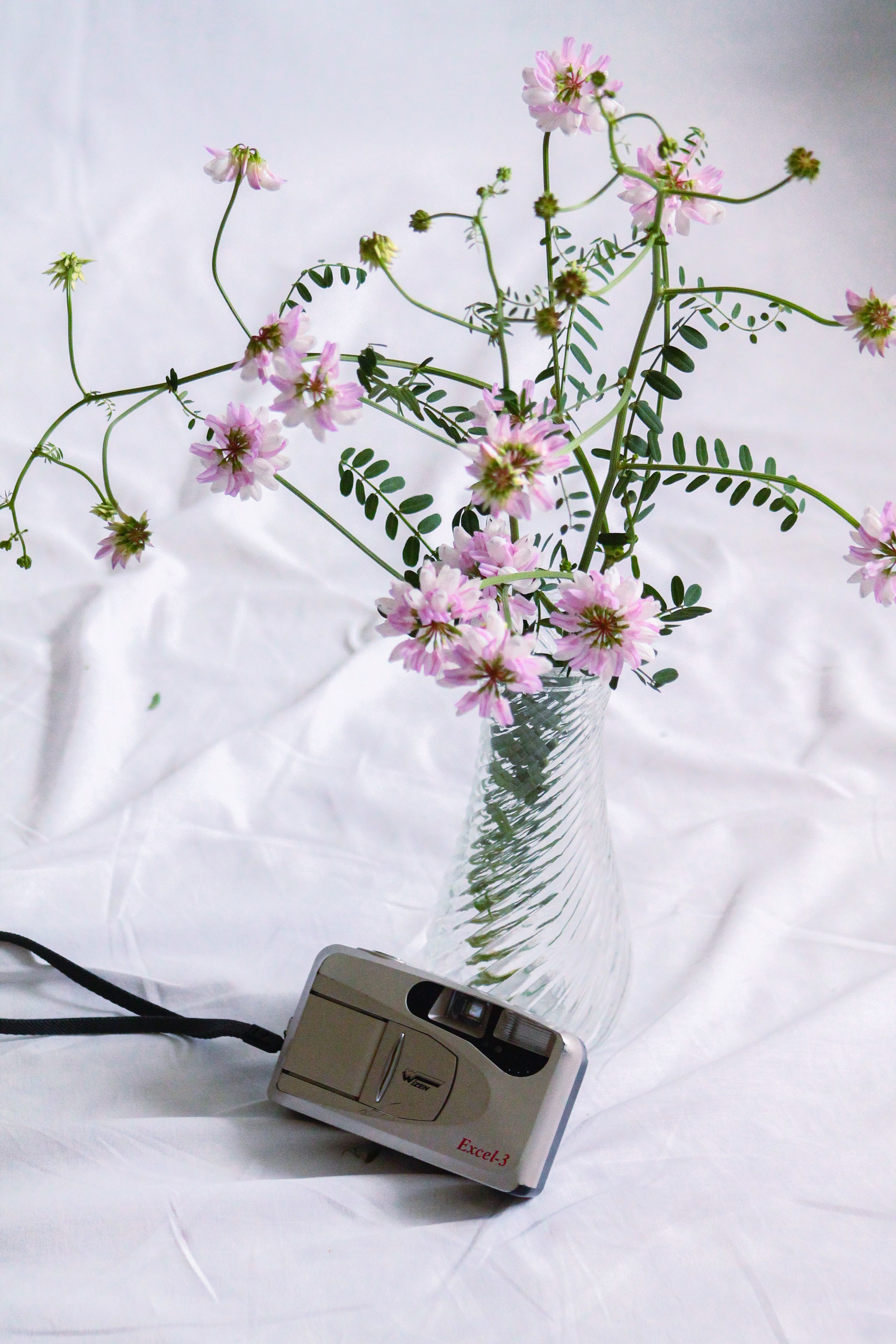 Retro Camera near Wildflowers in Vase · Free Stock Photo