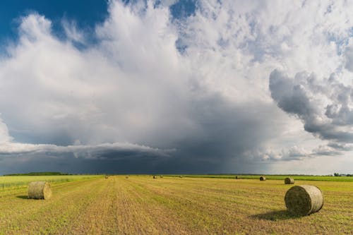 Immagine gratuita di balle, campagna, campo