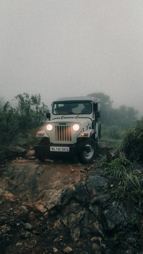 Truck Among Tropical Shrubs in Fog 