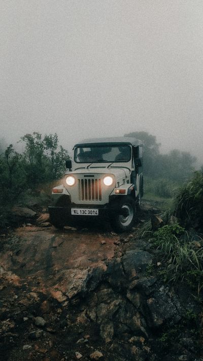 Sunrise Safari Munnar