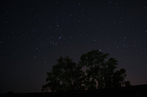 Fotos de stock gratuitas de field, night, sky