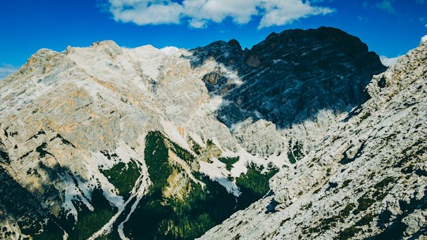 Image by Jędrzej Koralewski