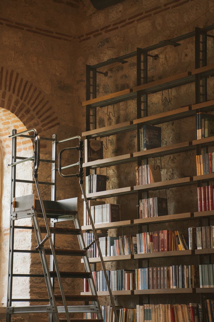 Ladder Near Shelves With Books In Library