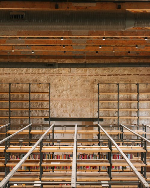 Shelves with Books in Library