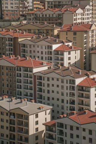 pexels-photo-17082168.jpeg