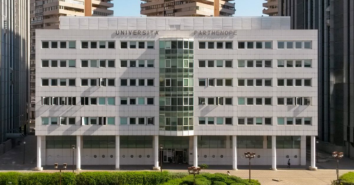2025年文科系国立大学排名解析:家长应关注的一桥大学 2025年文科系国立大学排名解析:家长应关注的一桥大学