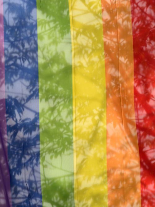 Free A vibrant rainbow flag with tree branch shadows in Hannover, Germany. Stock Photo