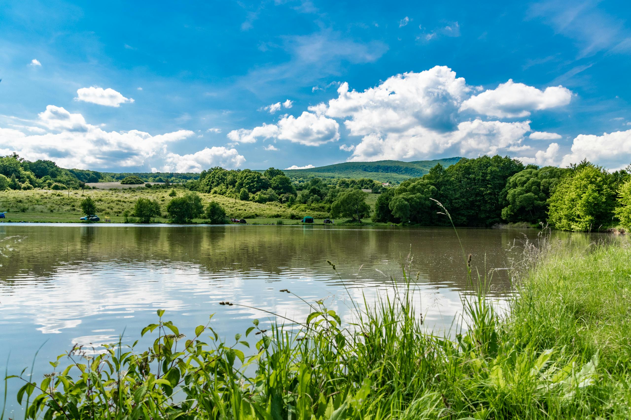 Summer at Byšta Fish Pond by Sun Pixel Photography