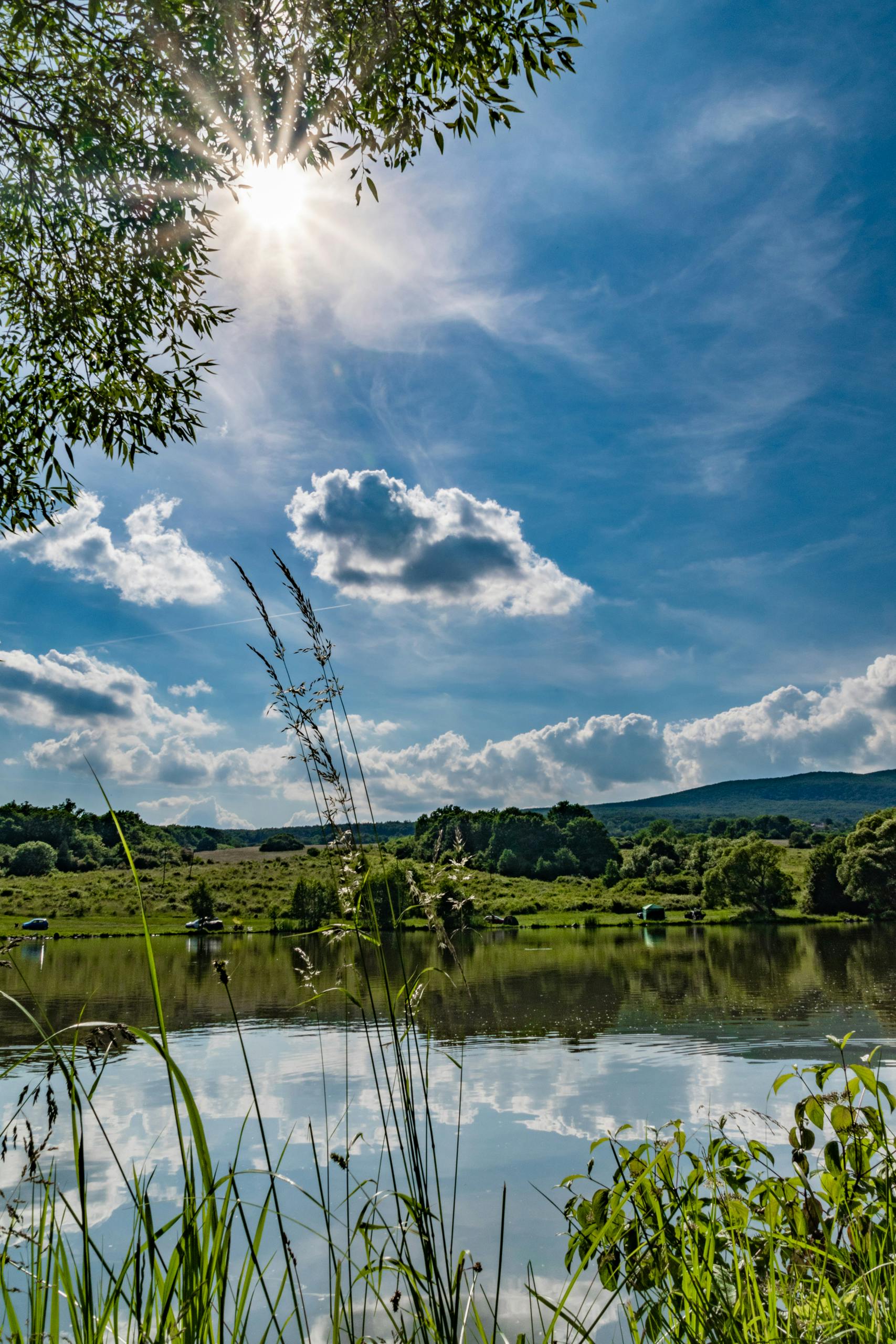 Summer at Byšta Fish Pond by Sun Pixel Photography