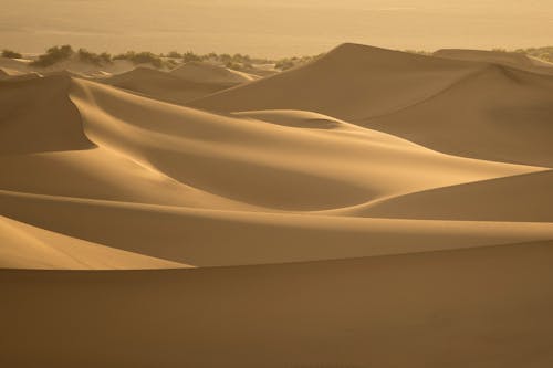 Dunes in Desert