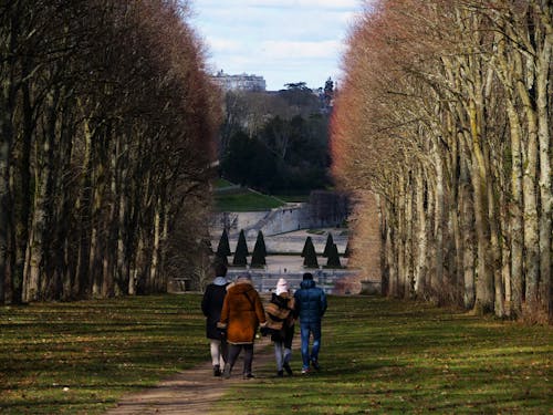 People Walking in a Park 