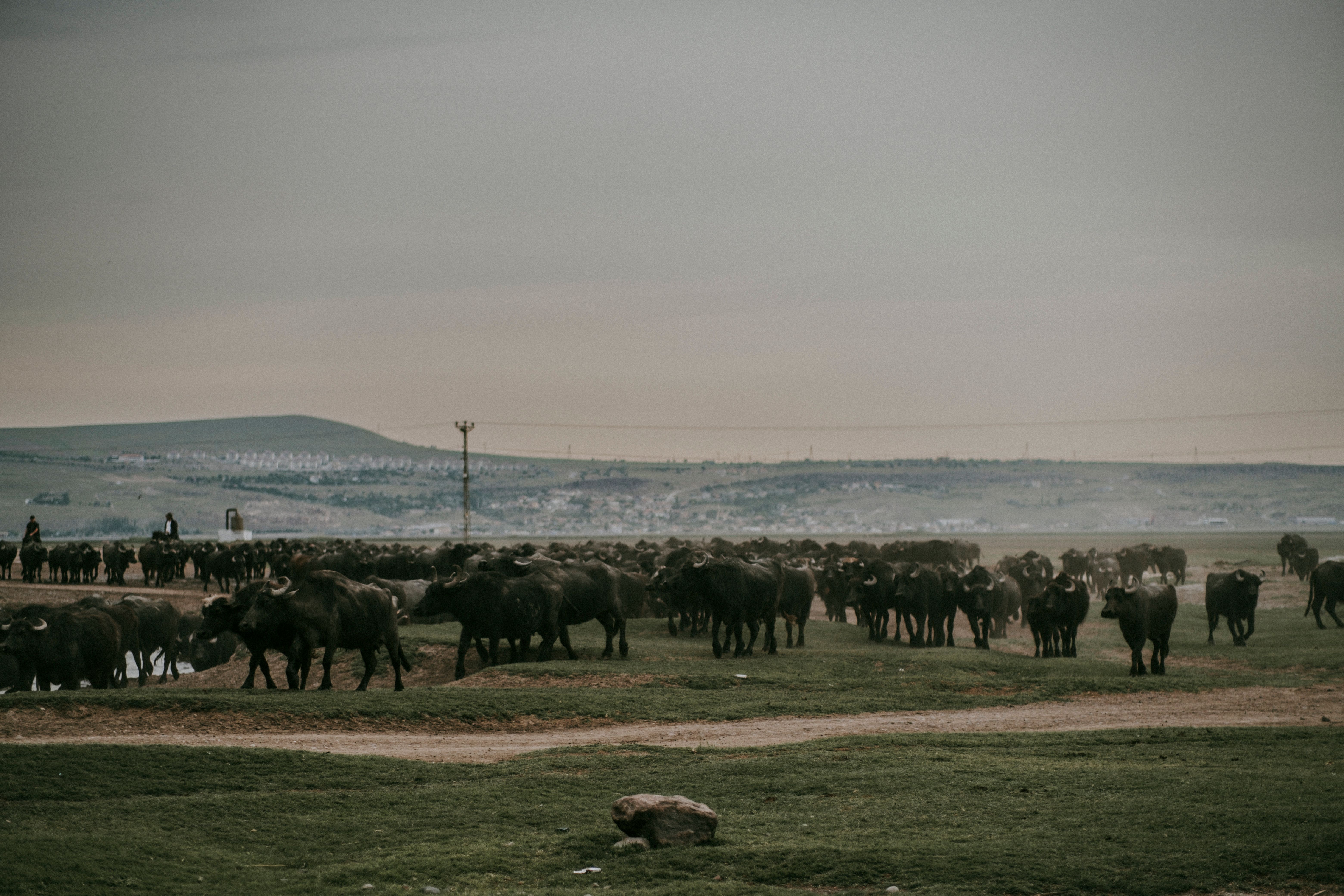 Vuelos baratos a Buffalo
