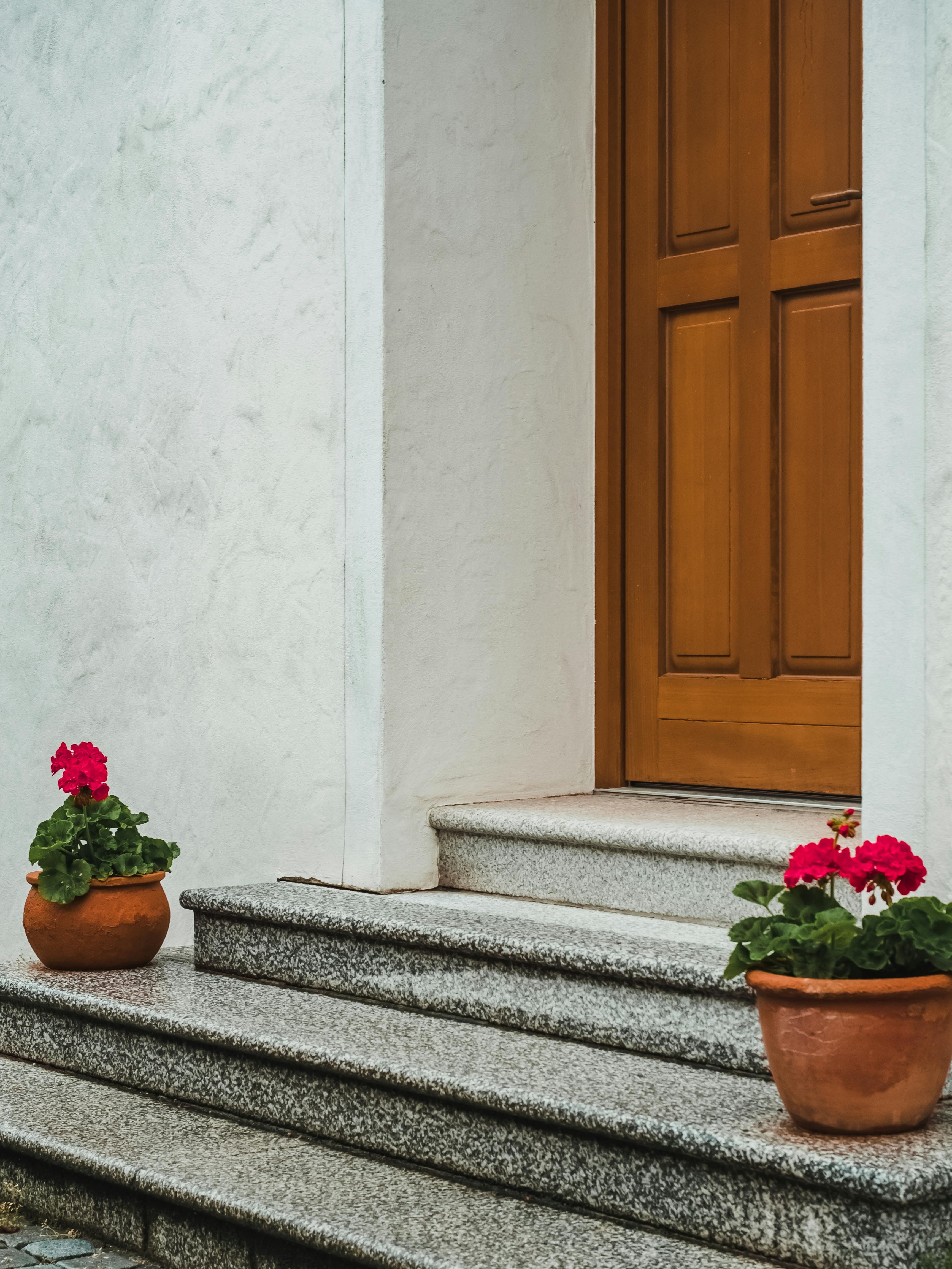 Overwintering Tender Geraniums: Your Step-by-Step Guide to Indoor Dormancy, Cuttings, and Spring Rejuvenation
