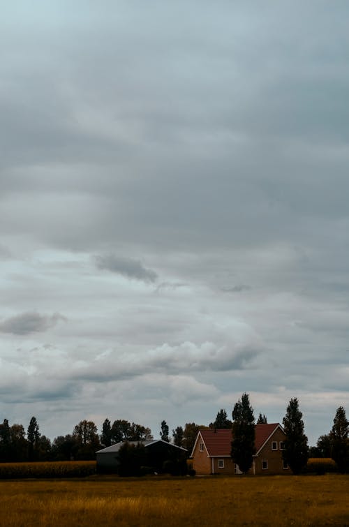 Foto d'estoc gratuïta de arbres, camp, casa