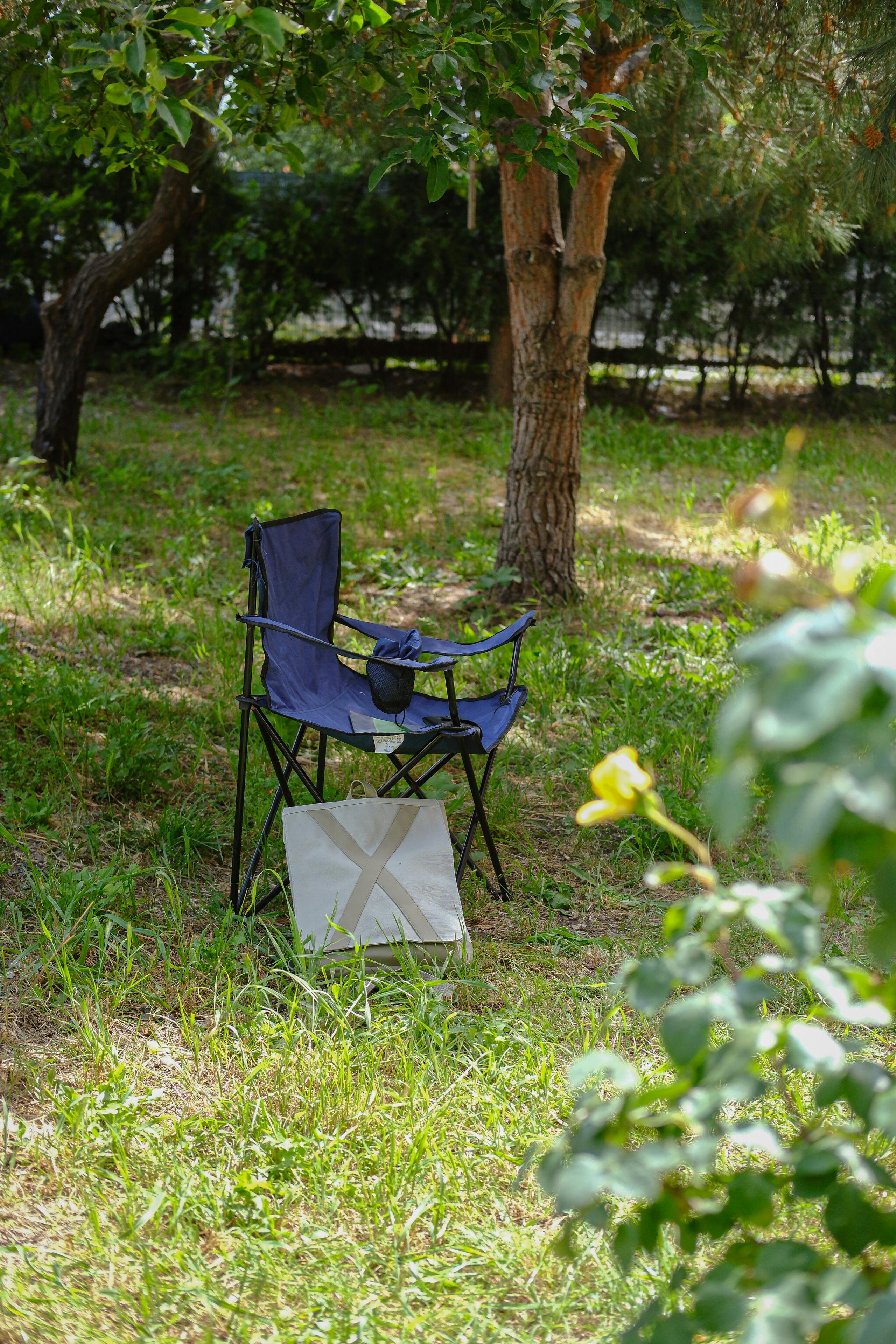 a blue folding chair sits in the grass next to a tree