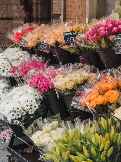 Kostnadsfri bild av blommor, florister, handelsvaror